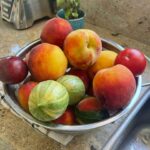 Eileen Davidson Van Patten Instagram - Summer fruit from garden and orchard coming in strong! 🍑🍊🍅🍋