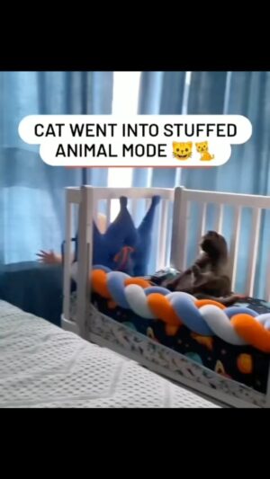 Elaine Goldsmith-Thomas Instagram - Survival…