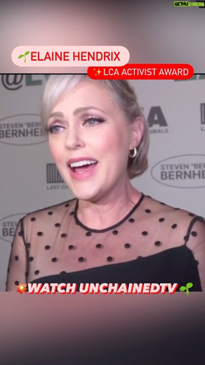Elaine Hendrix Instagram - 💫Did you know this Dynasty star is a passionate animal activist who has been using her platform to be a voice for the voiceless for years?❗️ 🌱Elaine Hendrix @elaine4animals plays Alexis Carrington on Dynasty! Her story is fascinating and inspiring and we caught up with her as she was being honored at the Last Chance For Animals Gala. @lc4animals / lacrimal.org 👀 SEE how Elaine’s compassion is vibrating through the industry and changing Hollywood! And, hear why she became VEGAN! 💥WATCH the whole interview on UNCHAINEDTV and learn how LCA’s work influences Elaine’s mission to help the animals and currently, advocate for the END OF FUR. 👉🏽CLICK the link in bio👈🏽 or GO TO the App Store to DOWNLOAD for FREE‼️ ✨Don’t forget to FOLLOW SHARE @unchained_tv and ❤️ this post! 🌱GO VEGAN 🌱 🎥 @nigelsark #unchainedtv #fur #furfree #nomorefur #animalrights #lca #gala #redcarpet #dynasty #actor #hollywood #changing #veganlife #veganfood #veganclothes #plantbaseddiet #undercover #investigations #govegan