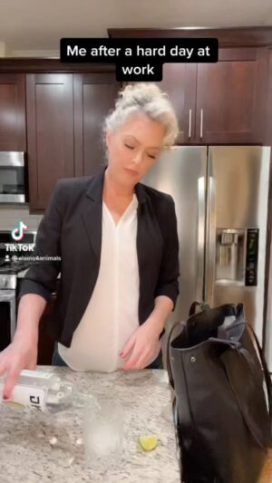 Elaine Hendrix Instagram - 💊😴🏕🦎