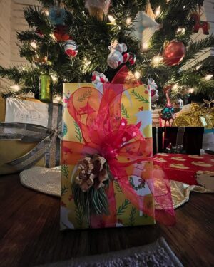 Elaine Hendrix Instagram - Merry Christmas from our little crazy, cozy world to you & yours. Wishing you peace, ease, contentment & gentleness. Tis’ the season for all that is tender & light. 🎄🎁😘