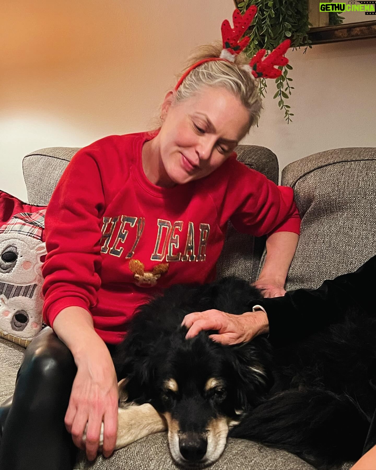 Elaine Hendrix Instagram - Merry Christmas from our little crazy, cozy world to you & yours. Wishing you peace, ease, contentment & gentleness. Tisβ the season for all that is tender & light. πππ