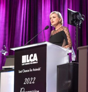 Elaine Hendrix Instagram - It was my deepest honor to receive the 2022 Celebrity Activist Award from @lc4a. Anyone who knows me knows animals are my life. I fight for their voices, their respect and their lives ever single day. They are so worthy of our attention. I AM AN ANIMAL RIGHTS ACTIVIST. 

So many of my beautiful, amazing friends came out and I didn’t take pictures. It was an emotional, overwhelming evening for me. But I love them all dearly. 

Photos by; @frncscamaria • Amanda Edwards • John Collazos; Dress: @stellamccartney (via @arinburke); Hair: @dvohair