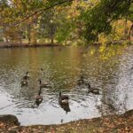 Elaine Hendrix Instagram - Hi. I’m Elaine. I love nature, animals, getting involved in life, imagination, making things, witchy wizardry, and kindness.