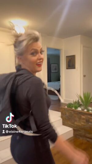 Elaine Hendrix Instagram - 🦎🫤 

#taylorswift #antihero #tiktok