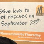 Elaine Hendrix Instagram - Remember Me Thursday in honor of rescue pets everywhere. Three of my five rescue babies. I couldn’t imagine life without them. 🐶🐶🐶🐱🐱@hwac #RememberMeThursday #ShineALight #RescuePets