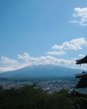 Elaine Ho Instagram - 我在富士山腳下 🗻

#富士山下 #富士山河口湖 #大石公園 

outfit/ @greenpea_tw