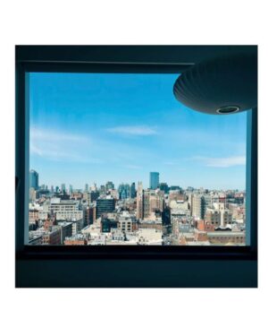 Eleanor Matsuura Instagram - Food poisoning in New York, a love story