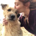 Eleanor Tomlinson Instagram - More than a few tears shed today on hearing that my all time favourite co-star, Barley, has crossed over that rainbow bridge. The Garrick to my Demelza. Barley, you’ve left a mighty paw print on my heart 🐾 Love to the best stunt dogs team @stuntdogsandanimals_ig ♥️ @official_poldark #adoptdontshop