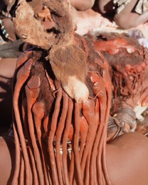 Electra Asteri Instagram - 🛖Επίσκεψη στη φυλή Himba 

😯Η φυλή Himba είναι μια από τις φυλές της Ναμίμπια και κατέφθασαν σ'αυτή πριν από 150 χρόνια στα πλαίσια της μεγάλης μετακίνησης των λαών που μιλούσαν τη γλώσσα Bantu. 

🤗Ζουν σε μικρά χωριά. Οι γυναίκες είναι ψηλές, δυνατές και πολύ εντυπωσιακές. Δεν φορούν ρούχα στο πάνω μέρος. Έχουν ιδιαίτερη κόμμωση που την φτιάχνουν με ένα είδος κοκκίνης πάστας. Δεν έχουν τα 4 κάτω μπροστινά δόντια. Τα αφαιρούν περίπου στην ηλικία των 12 ετών για να έχουν την ιδιαιτερη άρθρωση που επιθυμούν. 

💇Η ξεχωριστή κόμη των γυναικών Himba είναι ολόκληρη ιεροτελεστία. Αφού τρίψουν την κόκκινη πέτρα και πάρουν τη σκονη (ωχρά), την ενώνουν με διάφορα άλλα υλικά και φτιάχνουν μια πάστα την οποία αλείφουν στα μαλλιά. Αυτό κρατάει για περίπου 3 μήνες. Και μετά τα ξαναφτιάχνουν. 

💧Οι γυναίκες Himba δεν πλένονται. Επειδή παλιότερα ήταν λιγοστό το νερό επιτρέπονταν να το χρησιμοποιούν μόνο οι άντρες. Έτσι οι γυναίκες έφτιαχναν μια πάστα σώματος (πάλι με σκόνη από την κόκκινη πέτρα), στην οποία πρόσθεταν βότανα και μυρωδικά τα οποία εκτός από ωραία μυρωδιά, χαρίζουν λάμψη και αποτρίχωση στο σώμα. Μόνο οι γυναίκες έχουν αυτή την κοκκινωπή απόχρωση στο δέρμα τους εξαιτίας αυτής της πάστας. Οι άντρες όχι. Κάνουν αυτή τη διαδικασία καθημερινά. 

💫Οι ιδιαιτερότητες σ'αυτή τη φυλή είναι αμέτρητες. Ένα ξεχώρισα όμως. Το καθαρό βλέμμα. Στις γυναίκες που μας καλωσόρισαν, στα παιδιά που έπαιξαν με τα παιδιά μας. Καθαρό βλέμμα, καθαρές ψυχές. 

✨Και αν ένα κατάλαβα από αυτή μας την επίσκεψη είναι ότι εκείνοι έχουν καταφέρει να κρατήσουν καλά το μυστικό της ζωής, ενώ εμείς το χάνουμε κάθε μέρα όλο και πιο πολύ. Αν το βρείτε κερδίζετε την ελευθερία, την ευτυχία και την αλήθεια σας. Για να σας δω! 

_________________________________________

#HappyTraveller #Africa #Himba #Namibia