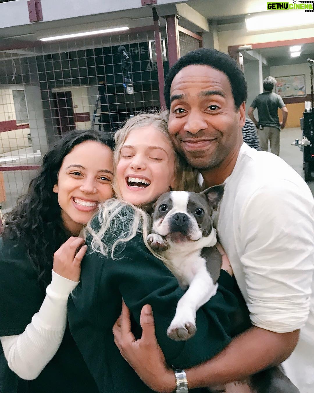 Elena Kampouris Instagram - @sacredlies sandwich💗💗💗❣️take a bite every friday on FacebookWatch😘#BluetheDog #behindthescenes #film #tv #family #setlife #forever #smile #happy #community #fairytale #love #good #vibes #living #movie #BTS #cinema #play #doglover #dogs #top #favorite #best #instagood #instadaily #instacool 