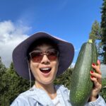 Elena Kong Mei-Yee Instagram - 在新西蘭有個農場就係可以養馬，養羊，種蔬菜🥬水果🍉，自給自足，寫意！ #江美儀 #江美人 #新西蘭 #christchruch #newzealand