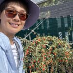 Elena Kong Mei-Yee Instagram - 在新西蘭有個農場就係可以養馬，養羊，種蔬菜🥬水果🍉，自給自足，寫意！ #江美儀 #江美人 #新西蘭 #christchruch #newzealand