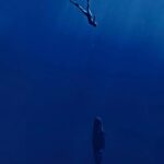 Elena Krygina Instagram - Почти месяц на Маврикии, а у меня нет ни одной красивой фотографии с кокосом на пляже))) За это время в моей жизни были только гидрокостюмы и сумка со снаряжением, спутанные волосы, полосатый загар, перекусы на ходу, соленый привкус во рту, кубометры воды и конечно киты🥰 киты киты китыыыы🫠 и больше мне ничего и не нужно было. Это был месяц абсолютной любви и ликования сердца😌🙏🏻
