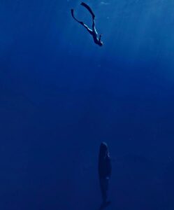 Elena Krygina Instagram - Почти месяц на Маврикии, а у меня нет ни одной красивой фотографии с кокосом на пляже))) За это время в моей жизни были только гидрокостюмы и сумка со снаряжением, спутанные волосы, полосатый загар, перекусы на ходу, соленый привкус во рту, кубометры воды и конечно киты🥰 киты киты китыыыы🫠 и больше мне ничего и не нужно было. Это был месяц абсолютной любви и ликования сердца😌🙏🏻