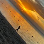 Elena Krygina Instagram - Почти месяц на Маврикии, а у меня нет ни одной красивой фотографии с кокосом на пляже))) За это время в моей жизни были только гидрокостюмы и сумка со снаряжением, спутанные волосы, полосатый загар, перекусы на ходу, соленый привкус во рту, кубометры воды и конечно киты🥰 киты киты китыыыы🫠 и больше мне ничего и не нужно было. Это был месяц абсолютной любви и ликования сердца😌🙏🏻