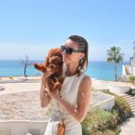 Elena Lyons Instagram - First time in Cabo for @mrdoodlescardone 🐶☀️