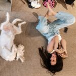 Eleni Vaitsou Instagram – 𝙄 𝙙𝙤𝙣’𝙩 𝙘𝙖𝙧𝙚 𝙬𝙝𝙖𝙩 𝙖𝙣𝙮𝙤𝙣𝙚 𝙩𝙝𝙞𝙣𝙠𝙨 𝙤𝙛 𝙢𝙚. 𝙀𝙭𝙘𝙚𝙥𝙩 𝙙𝙤𝙜𝙨. 𝙄 𝙬𝙖𝙣𝙩 𝙙𝙤𝙜𝙨 𝙩𝙤 𝙡𝙞𝙠𝙚 𝙢𝙚. 🐾❤️🐾