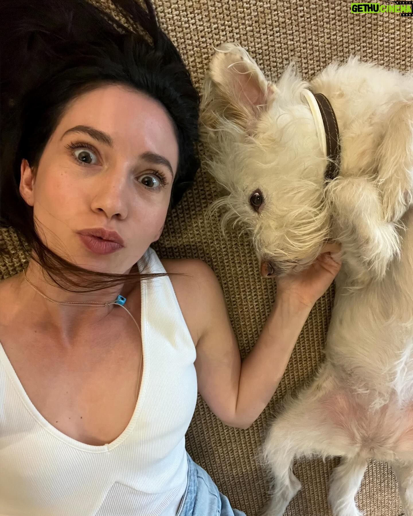 Eleni Vaitsou - 8.8K Likes - 𝙄 𝙙𝙤𝙣’𝙩 𝙘𝙖𝙧𝙚 𝙬𝙝𝙖𝙩 𝙖𝙣𝙮𝙤𝙣𝙚 𝙩𝙝𝙞𝙣𝙠𝙨 𝙤𝙛 𝙢𝙚. 𝙀𝙭𝙘𝙚𝙥𝙩 𝙙𝙤𝙜𝙨. 𝙄 𝙬𝙖𝙣𝙩 𝙙𝙤𝙜𝙨 𝙩𝙤 𝙡𝙞𝙠𝙚 𝙢𝙚. 🐾❤️🐾