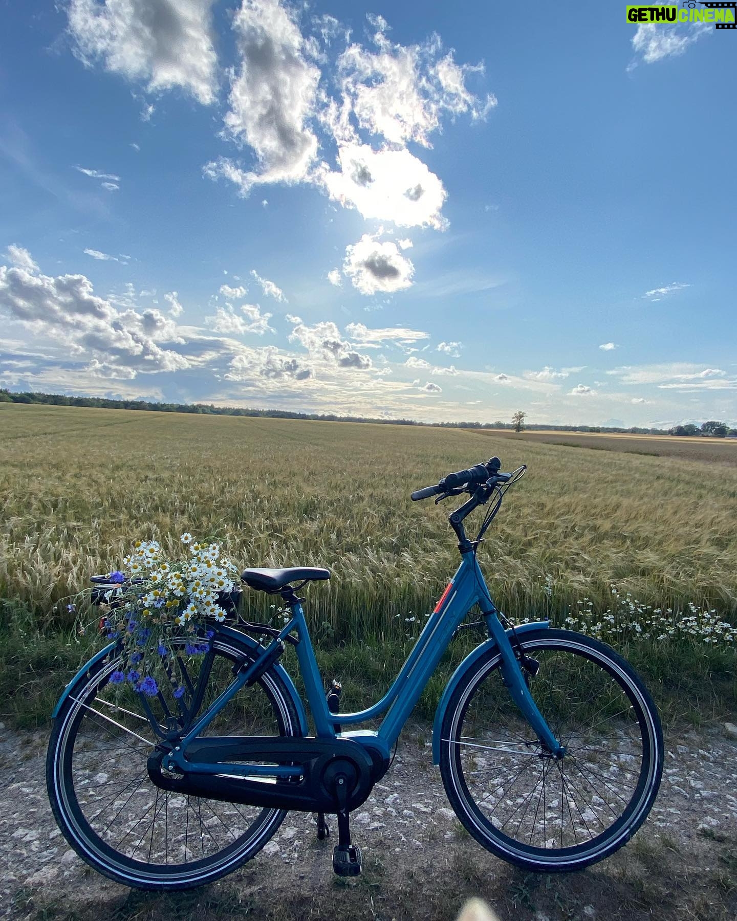Éléonore Sarrazin - 2.7K Likes - July 🌻