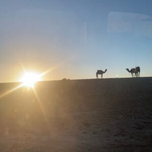 Éléonore Sarrazin Instagram - Tabarnakech 🐫 @cherry_blossomgirl_ @caromatique @camflour @lolacholley @helene.battini @m___be 🍾