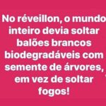 Eliana Guttman Instagram - Vamos dividir essa ideia!