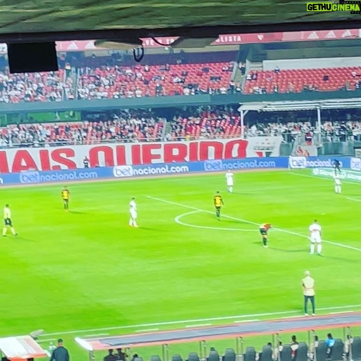 Eliana Guttman Instagram - E lá fui ao ao estádio do morumbi com meus netos, seus amigos e dona da p… toda @maguttmann . Que vibração incrível! AMEI! #spfutebolclube #vovótaon