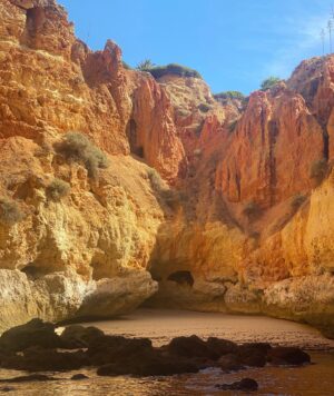 Elisa Bachir Bey Instagram - Paradise island