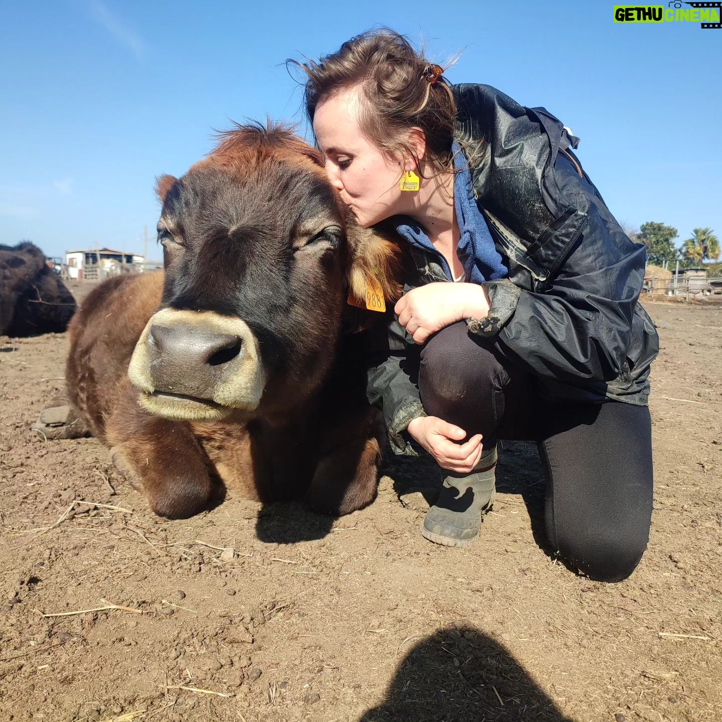 Elisa Di Eusanio - 1.1K Likes - Spero arrivi presto il giorno in cui tuttə riusciranno a vederti come ti vedo io.
#instaeli #vegan @rifugio_hope 💚