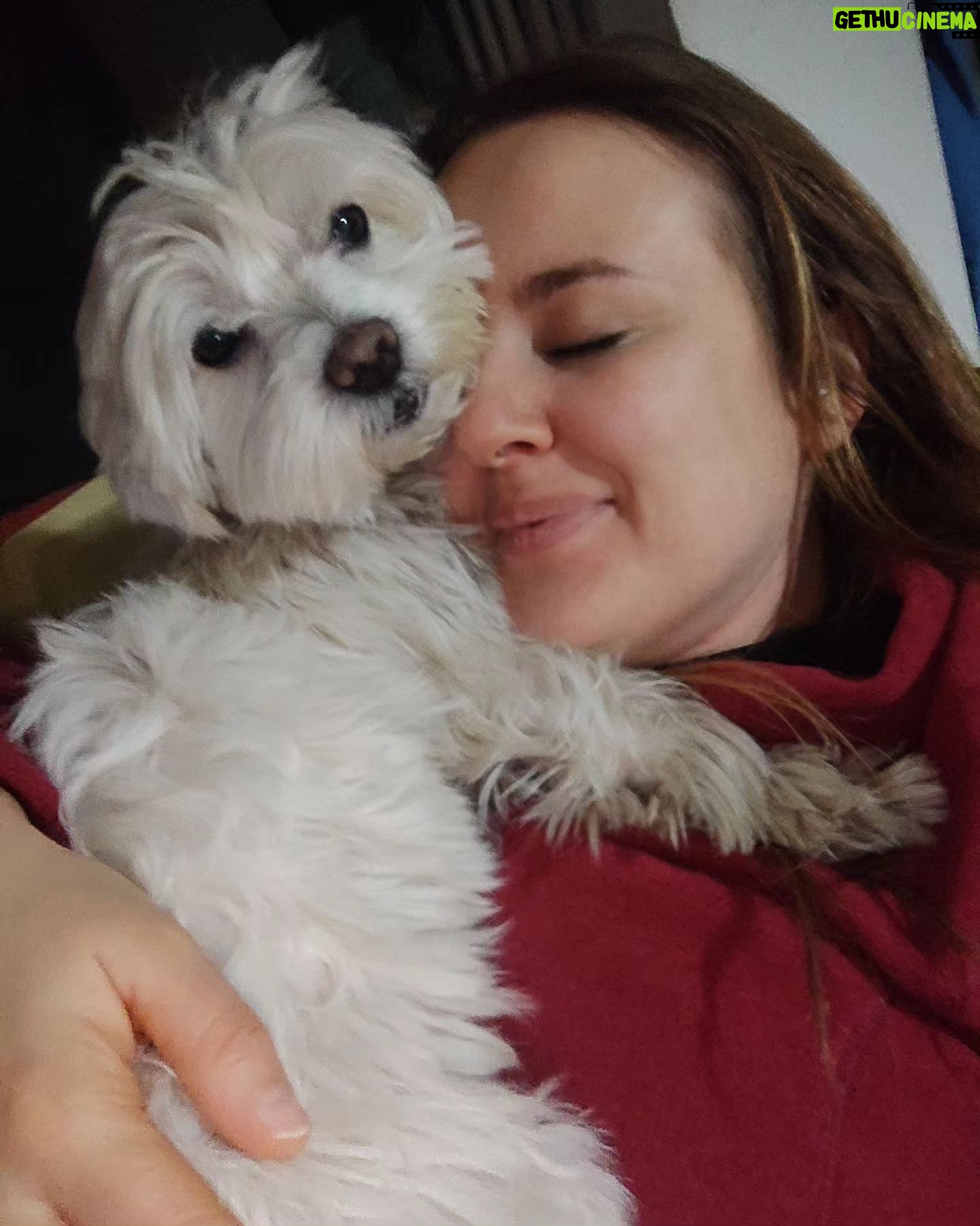 Elisa Di Eusanio - 1K Likes - Ma 'sti poveri cani che vi hanno fatto?
Adesso non va bene neanche chiamarli con nomi propri.
Io non sono per umanizzare gli animali semmai sono per animalizzare un po' di più gli esseri umani
però credo fermamente che ognuno abbia il diritto di formare la famiglia che vuole.
La cura di cui ha bisogno un cane è molto simile alla cura che necessita un bambino piccolo ed è un fatto questo che evidentemente dà molto fastidio.
La famiglia non è solo quella biologica o decisa per tradizione, cultura o religione.
La famiglia a un certo punto si sceglie e può contenere in sé mille colori e possibilità.
Laddove c'è amore, cura e protezione non potrà mai esserci nulla ma proprio nulla di sbagliato.
Evitate quindi per favore di alimentare divisione, giudizio e specismo.
Siate liberə di amare chi volete e lasciateci liberə di vivere al meglio per la nostra felicità.
Vero Angeli'?
Woof woof 🐾🐾🐾
#instaeli #statesereni