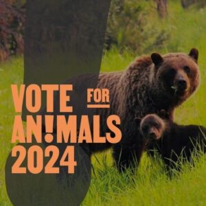 Elisa Di Eusanio Instagram - Le elezioni europee sono sempre più vicine e saranno cruciali anche per la vita di milioni di animali! 
 
Con @giuliainnocenz @dunia_animalara @elisadieusanio  @valeficent__ abbiamo voluto ricordarvi perché è fondamentale andare a votare e come scegliere i candidat* giusti per difendere i diritti degli animali in Europa. 
 
Grazie al nostro impegno, infatti, con la Coalizione "Anche gli animali votano", abbiamo lanciato il manifesto "Vote For An!mals": 10 punti proposti a partiti e candidati/e alle elezioni europee del prossimo 8 e 9 giugno per chiedere più tutela e diritti per gli animali nell'UE. 
 
Scopri quali candidat* hanno aderito al manifesto, vai al link in bio!