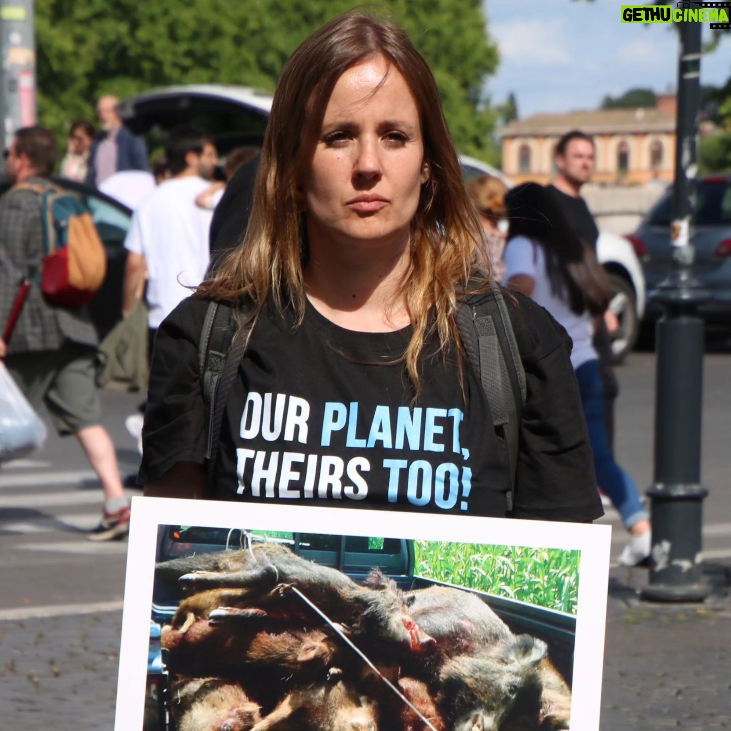 Elisa Di Eusanio - 895 Likes - Ieri al @nard_italy_rome abbiamo celebrato la giornata nazionale per i diritti degli animali.
Una giornata che si celebra in tutto il mondo.
Nonostante il tema dello sfruttamento e dell' abuso sugli animali sentito da tutti noi visceralmente
è stata una giornata gioiosa.
Tanta musica tanta arte e soprattutto valori condivisi.
Nessuno in quella piazza (almeno la nostra)
sarà mai a favore di alcuna discriminazione, violenza abuso e sfruttamento.
Animale e umano.
Figuriamoci poi in questo momento di fronte ad atroci immagini di guerra che non vorremmo mai dover impotenti
sopportare.
Sono grata di aver condiviso i miei valori come sempre faccio e continuerò a fare.
E sono felice di riscontrare nell' arte sempre e comunque un potentissimo mezzo di connessione.
Grazie di cuore a tutte e tutti 🙏❤️
#instaeli