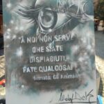 Elisa Di Eusanio