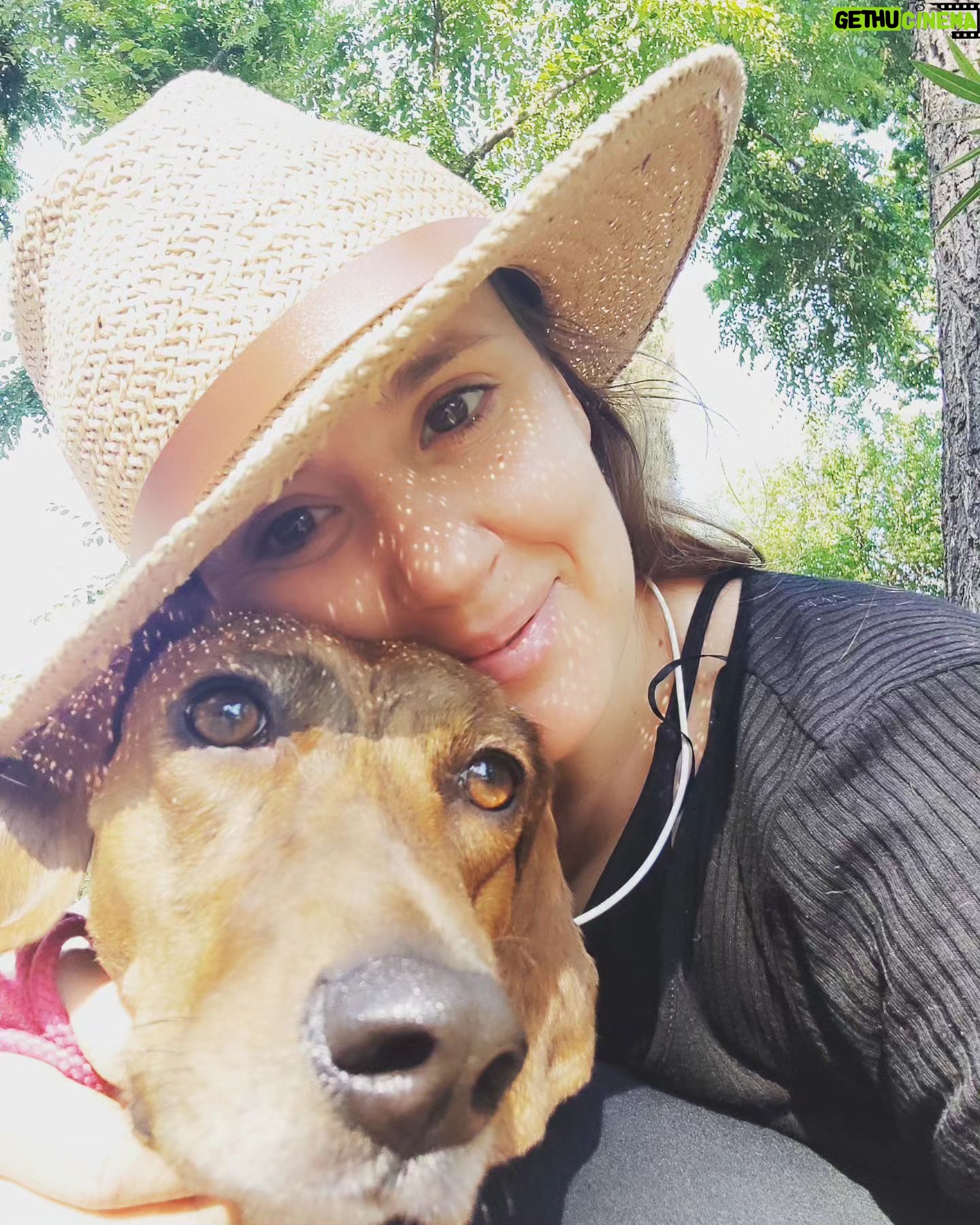 Elisa Di Eusanio - 1.1K Likes - Spero che leggerai tutto il post🙏
Giugno è il mese che apre le porte all'estate ma in oriente segna l'inizio di una barbara tradizione ovvero "il festival di Yulin"
In questo periodo milioni di cani e gatti vengono brutalmente torturati e uccisi per la loro carne nei famosi "mercati del sangue" luoghi di orrore in pieno centro cittadino dove gli animali vengono uccisi in condizioni igienico sanitarie pressoché inesistenti.
Il mondo occidentale si indigna di fronte ai mercati del sangue orientali, è inconcepibile pensare di torturare, macellare e mangiare animali considerati "da compagnia"
Vorrei aiutarvi a riflettere sul fatto che però gli animali sono tutti uguali e hanno la stessa capacità di sentire, provare dolore fisico, panico e terrore.
Quello che accade nei nostri mattatoi occidentali non si differenzia di molto dai mercati del sangue di Yulin se non per il fatto che gli animali vengono uccisi rispettando qualche norma igienico sanitaria in più dentro spesse mura di cemento lontano dai nostri sguardi.
Da sempre noi occidentali siamo stati abituati a considerare alcuni animali di serie A altri di serie B esattamente come abbiamo sempre creato classi e gerarchie tra gli esseri umani.
Ma dov'è la differenza?
Solo nella nostra percezione e nel sistema di pregiudizio e tradizione che compone la nostra cultura e le nostre abitudini.
"Se i mattatoi avessero le pareti di vetro nessuno mangerebbe più carne"
Lev Tolstoj
#instaeli