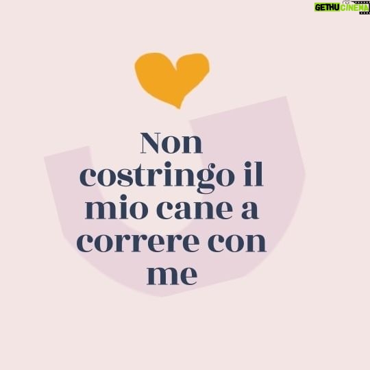 Elisa Di Eusanio - 4.5K Likes - Uscire col cane significa condividere il suo momento e tentare di renderlo il più piacevole possibile.
Non costringiamo i cani a fare footing con noi
Ascoltiamoli e proviamo noi a entrare nel loro mondo 💓
Tu che ne pensi?
Scrivilo nei commenti 👇
#instaeli