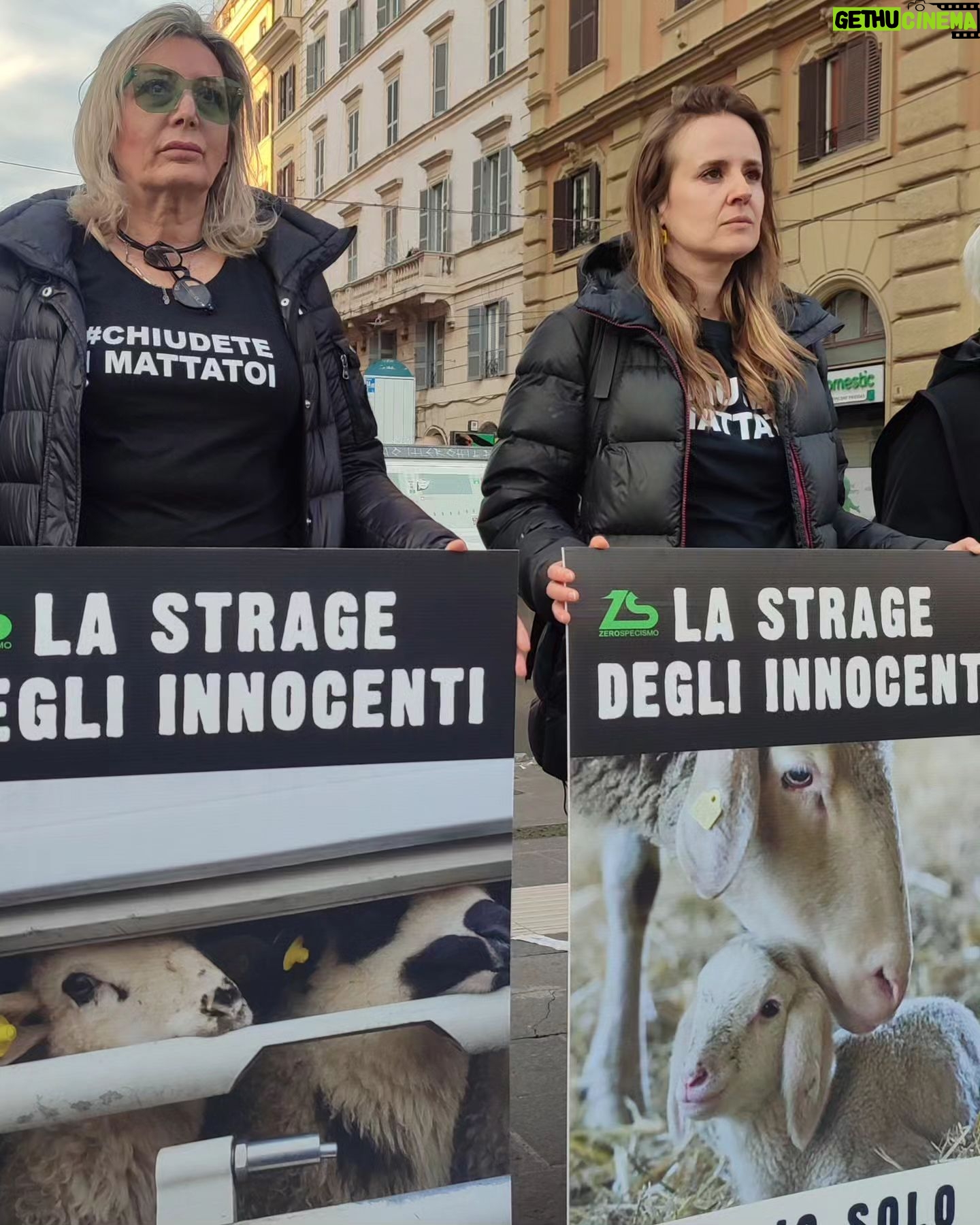 Elisa Di Eusanio - 1.9K Likes - Non avrei mai pensato che la mia vita sarebbe andata così.
Di saltare la barricata e passare dalla parte di chi ho sempre deriso e guardato con sospetto.
Non mi sono mai piaciute le attiviste e le azioni in piazza invece oggi eccomi qui.
Non ho idea di quanto siano efficaci o meno queste azioni
probabilmente nel tempo mi evolverò, cambierò di nuovo forma e cercherò altre strade ma oggi non posso esimermi dal partecipare perché noi abbiamo questo e poco altro.
Sono orgogliosa di esserci
Orgogliosa di mostrare a volto scoperto da che parte sto
Orgogliosa di aver trovato una motivazione davvero importante per me
La nostra è una lotta dura durissima
Non ci comprenderanno
Ci derideranno
Ci sminuiranno sempre
Ma un giorno capiranno
E se non sarà per empatia
purtroppo oggi questa sconosciuta
sarà per altre motivazioni dalle quali non si potrà più continuare a scappare
che riguardano la salute di tutte e tutti e del nostro pianeta che non ce la fa più🌍🥵
Io nel frattempo sempre e per sempre al loro fianco.
In piazza con @zerospecismo__ contro la strage pasquale degli agnelli.
Un'abominevole mattanza di cuccioli di pochi giorni venuti al mondo senza alcun senso.
#instaeli
@valerubins