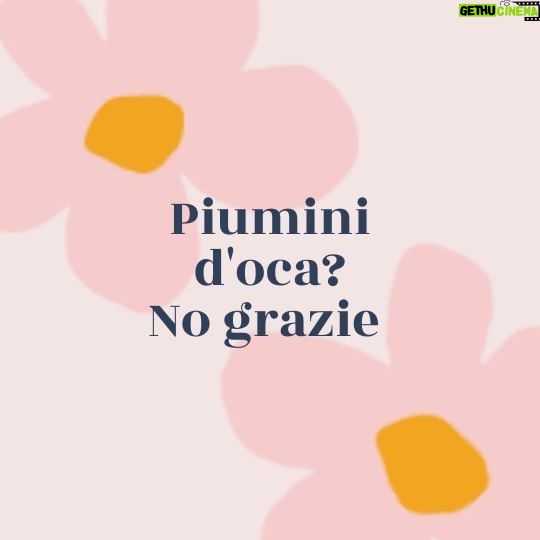 Elisa Di Eusanio - 1K Likes - Piumino d'oca?
No grazie.
Scelgo #crueltyfree💚🌱
#instaeli