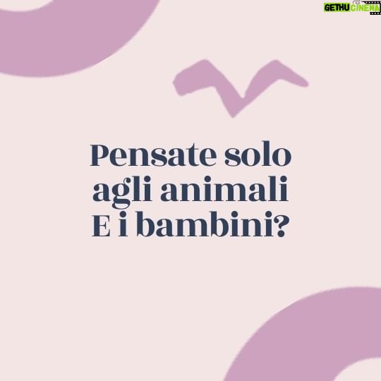 Elisa Di Eusanio - 1.3K Likes - Oggi è la giornata internazionale per i diritti degli animali.
Ne approfitto per togliermi un sassolino dalla scarpa che molte volte si rivela prepotente e fastidioso.
Condivido questo video che volevo fare da un po' 💚
#instaeli