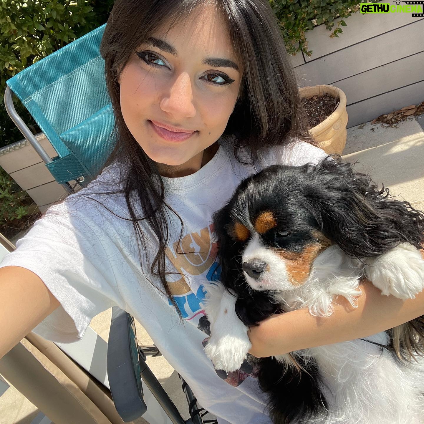 Elisa Ezzedine - 12.1K Likes - 🧸