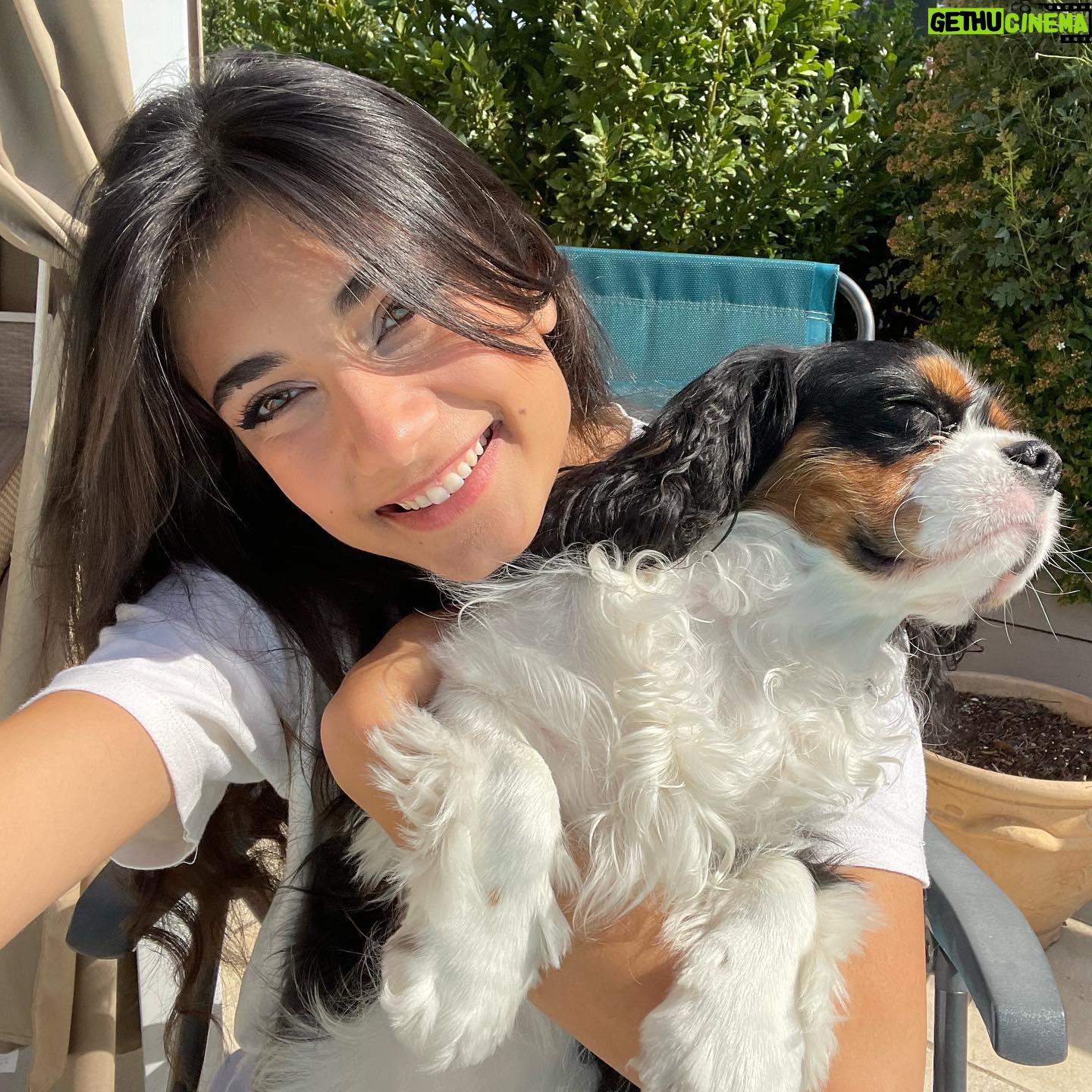Elisa Ezzedine - 12.1K Likes - 🧸