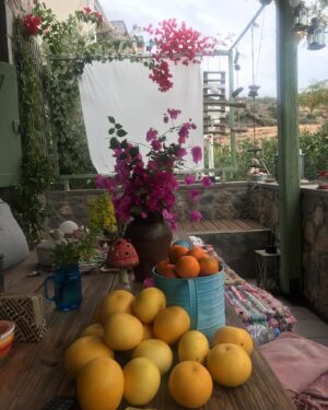 Elisavet Konstantinidou Instagram - Καλημέρα