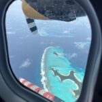 Elisha Applebaum Instagram - You stole our hearts @fushifaru , thank you 🐠🤿🏝️