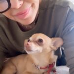 Elizabeth Daily Instagram – Oops  was checking out drafts and somehow this just posted ….wasn’t going to but realize…. it’s just a pure love moment….so I’m keeping it up! Love you guys to !❤️🙏 #ruby #dogs #dogsofinstagram #unconditionallove