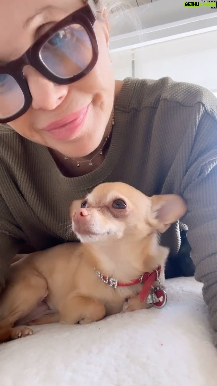 Elizabeth Daily Instagram - Oops was checking out drafts and somehow this just posted ….wasn’t going to but realize…. it’s just a pure love moment….so I’m keeping it up! Love you guys to !❤️🙏 #ruby #dogs #dogsofinstagram #unconditionallove