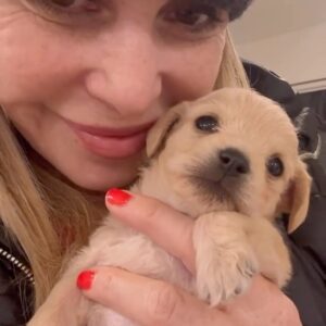 Elizabeth Daily Instagram - Just a heart to heart with baby dot on our last night of our foster rescue journey 🥲❤️ @deityanimalrescue #tommypickles #rugrats