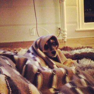 Elizabeth Reaser Instagram - Luther