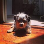 Elizabeth Reaser Instagram -