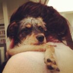 Elizabeth Reaser Instagram - Best hugs. #Luther