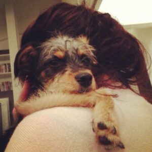 Elizabeth Reaser Instagram - Best hugs. #Luther