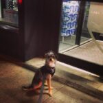 Elizabeth Reaser Instagram -